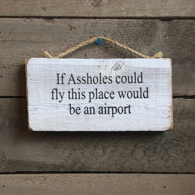 If Assholes could fly